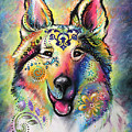 Collie
